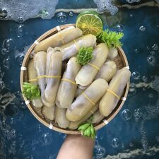 Ốc móng tay tươi