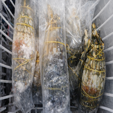 Tôm hùm đông lạnh nguyên con