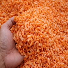 Ruốc tôm sợi cam